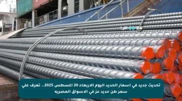 تحديث جديد في أسعار الحديد اليوم الأربعاء 20 أغسطس 2025.. تعرف على سعر طن حديد عز في الأسواق المصرية